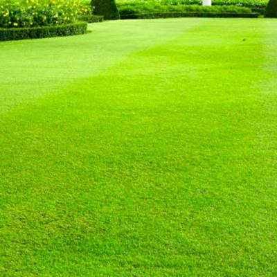 Rfoutdoorsod